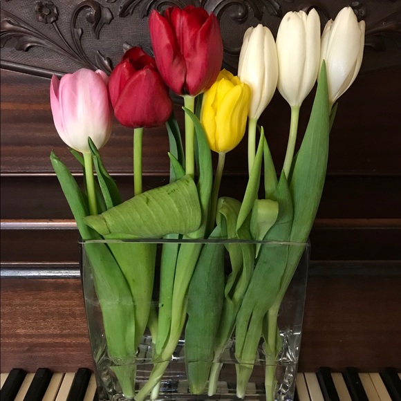 Meet your Posher, Cristina - Picture 6 of 16